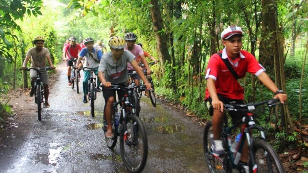 Lombok Cycling through Coffee, Cacao & Mangosteen Plantation