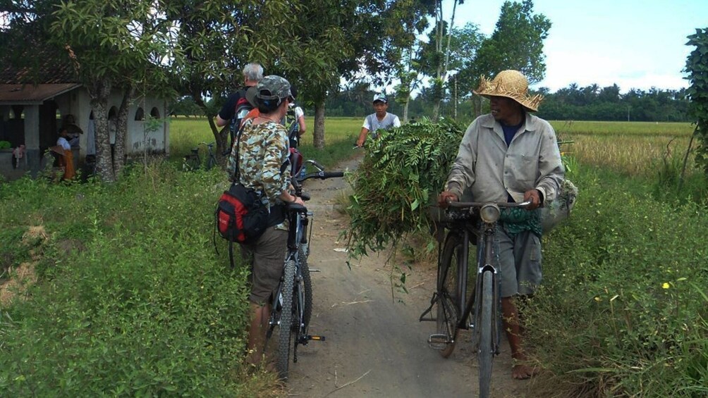 Private Lombok Cycling Tour from Mapak to Pengsong Temple