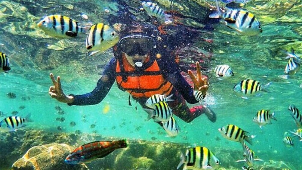 Pantai Nglambor spot snorkeling terbaik Yogyakarta