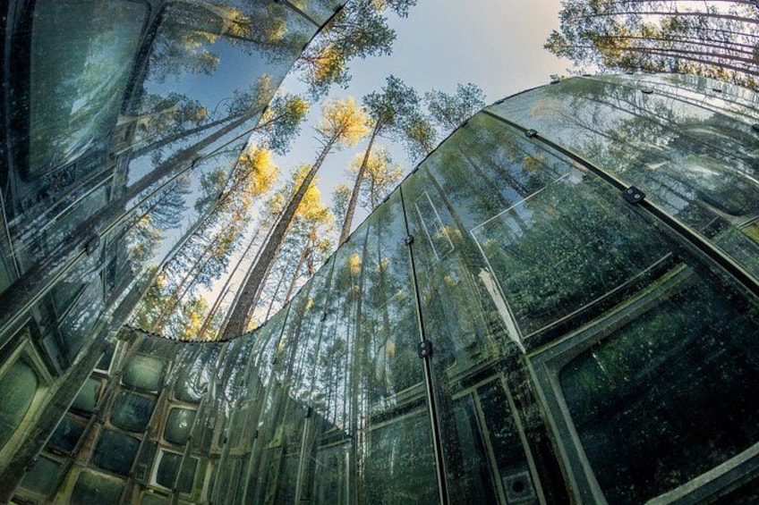 Una estructura de vidrio con vistas a árboles y al cielo. 1