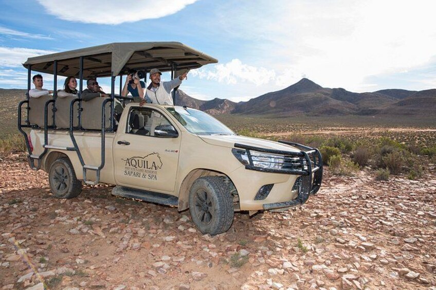 Aquila Safari Private Game Reserve Early Morning Game Drive 2