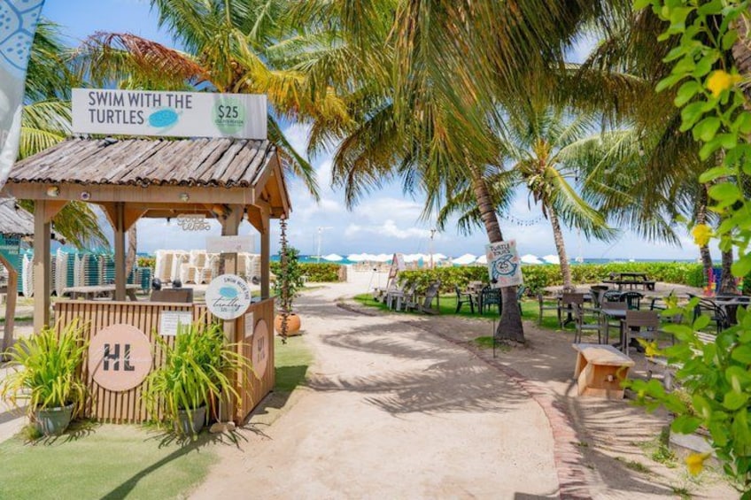 A beachside area with a wooden structure labeled 'SWIM WITH THE TURTLES' and a price of $25. 2