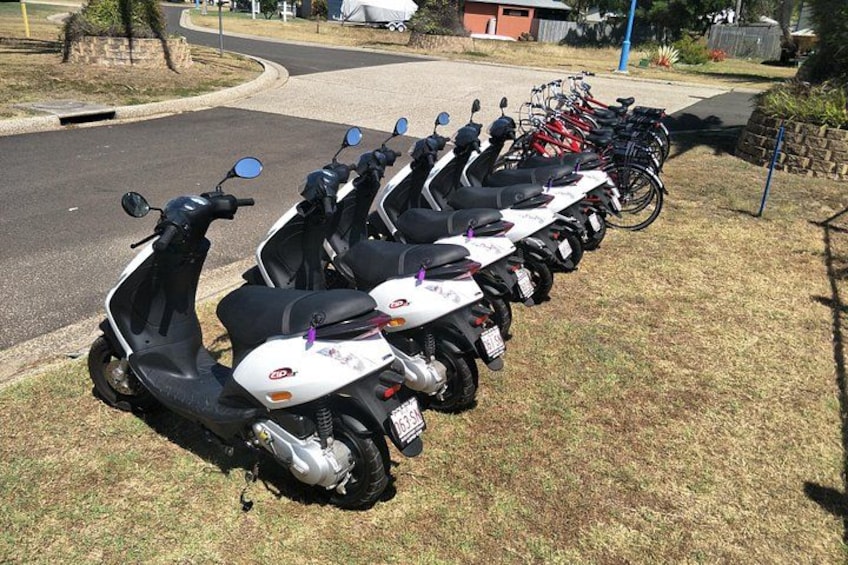 A row of parked scooters and bicycles in a grassy area. 4