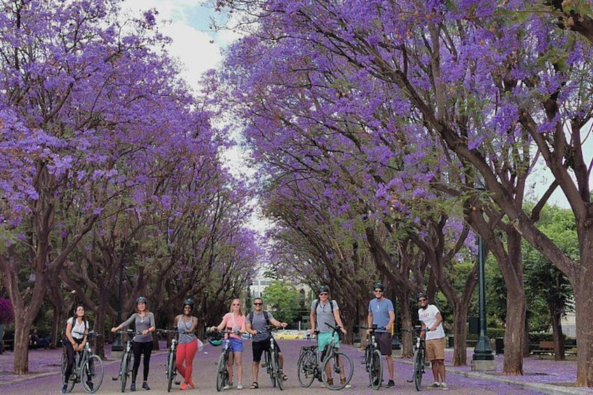Athens Scenic Bike Tour with Regular or Electric Bike + Acropolis 2