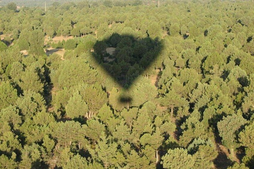 Balloon shadow over the natural park 5