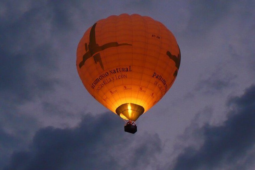 Soaring the sky early morning 1