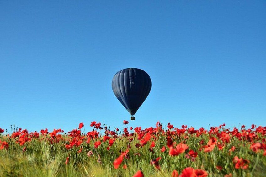 Hot Air Balloon Flight Over Segovia or Toledo 1