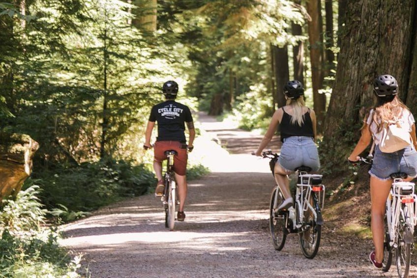 Three cyclists on a forested trail. 3