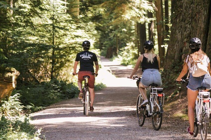 Three cyclists on a forested path. 4