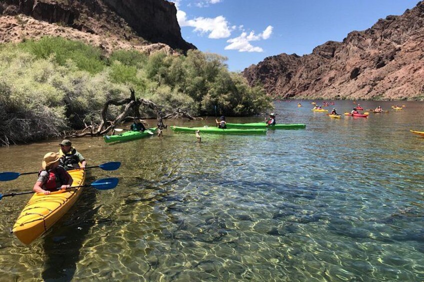Half-Day Emerald Cave Kayak Tour with Optional Hotel Pickup 2