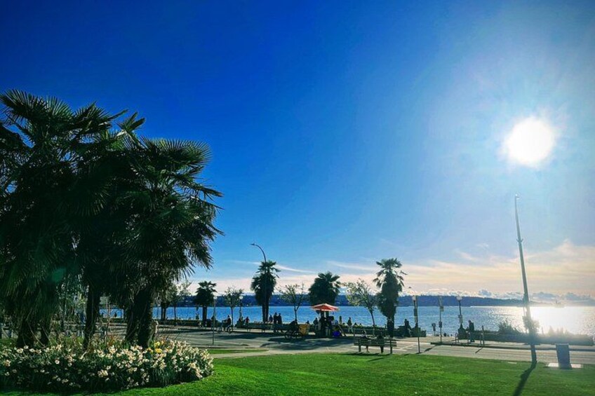 Un día soleado en un parque con palmeras, un área verde y una masa de agua al fondo. 1