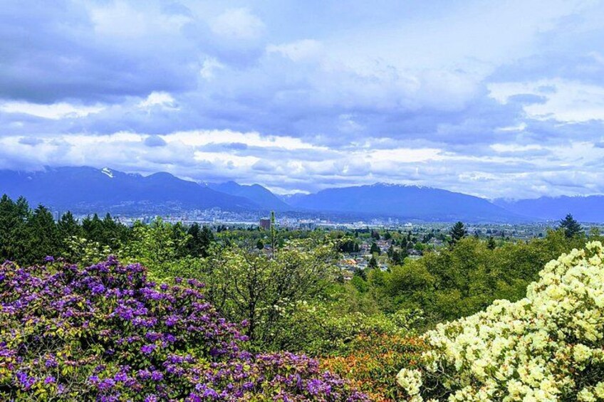 Un paisaje montañoso con una ciudad a lo lejos, abundante vegetación y arbustos florecientes en tonos morado y blanco al frente. 5