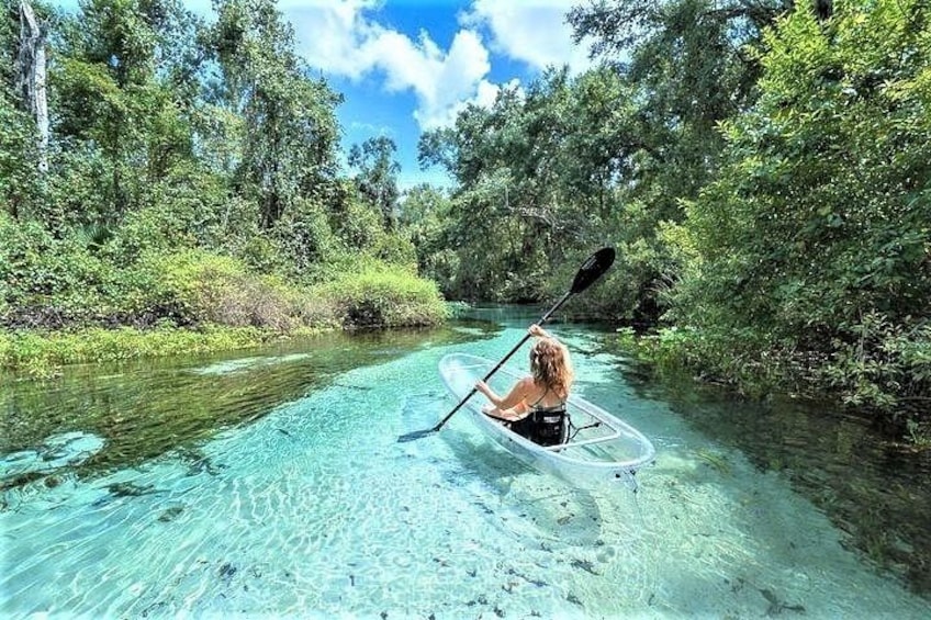 Una persona remando en kayak por un río cristalino rodeado de abundante vegetación. 1
