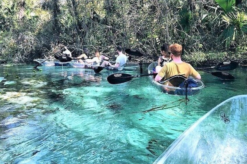 People kayaking in clear water surrounded by dense vegetation. 2
