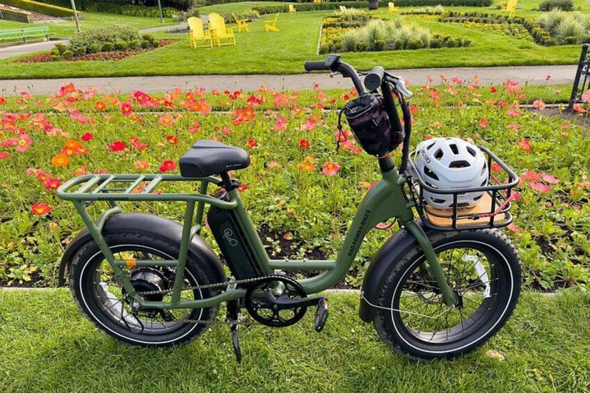 Un vélo électrique vert, doté d’un panier et d’un casque posé sur le siège, est garé sur de l’herbe, avec des fleurs rouges en arrière-plan. 3