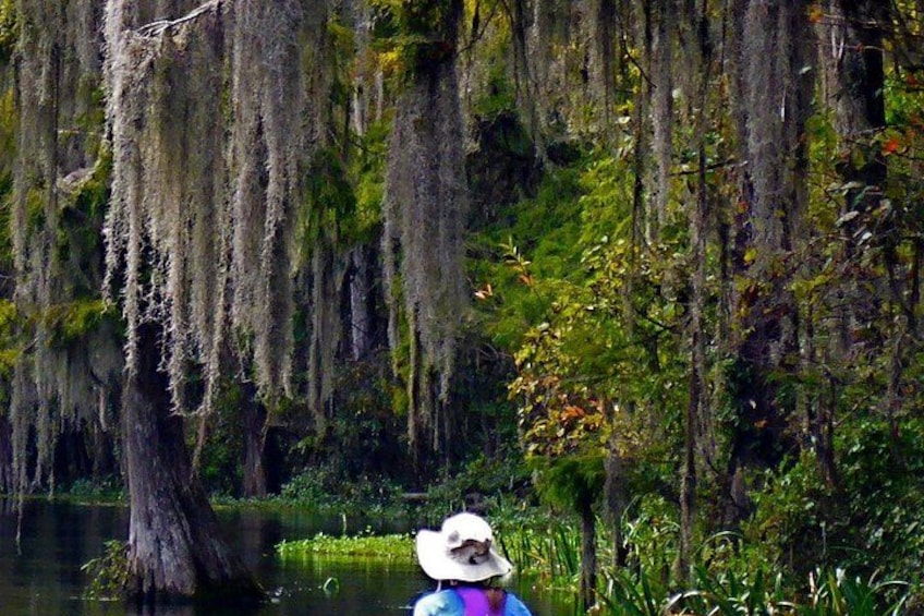 Wekiva River Kayak Tour 4