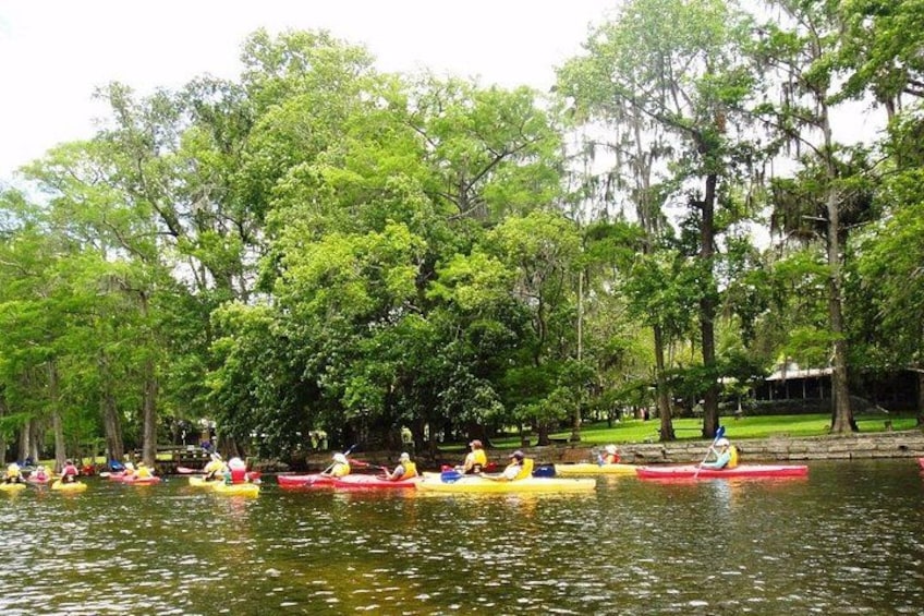 Wekiva River Guided Kayak Tour 2
