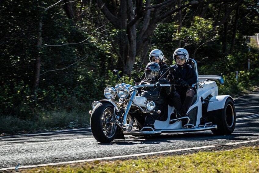 Ein Motorrad mit Beiwagen auf einer von Bäumen gesäumten Straße. 1