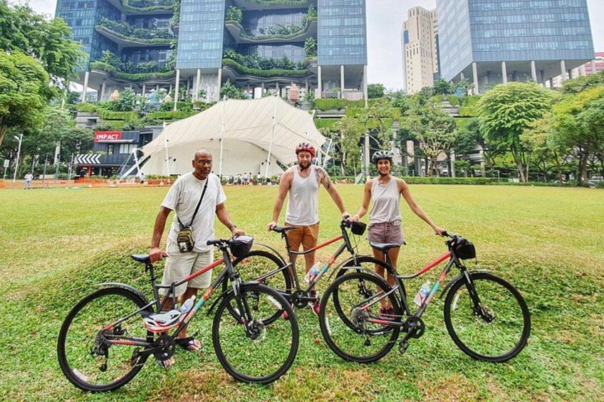 Full Size Bikes! 3