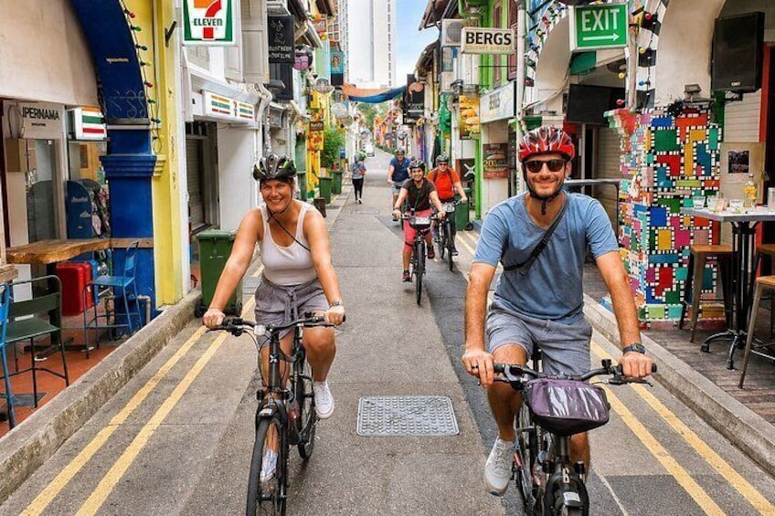 Singapore Highlights Small Group Bike Tour on Full-Sized Bicycles 3