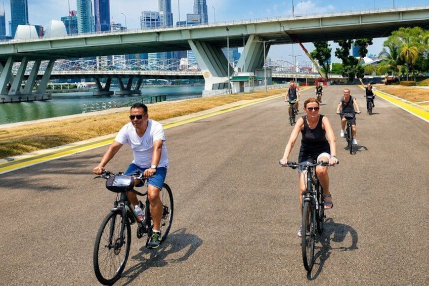 Singapore Highlights Small Group Bike Tour on Full-Sized Bicycles 2