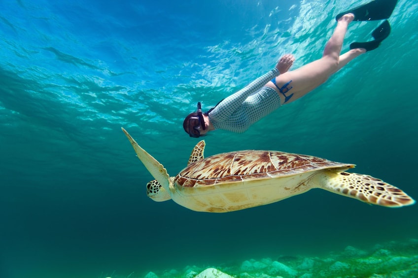 St. John Snorkel, Swim and Beach Experience Aboard Aquarius 1