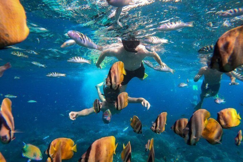 Full-Day Nusa Penida Island with Snorkeling from Bali 4