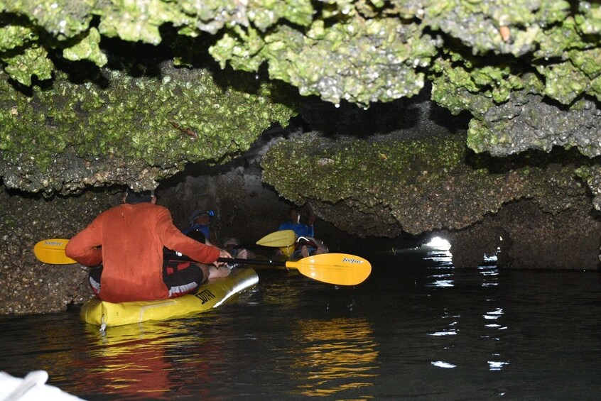 People kayaking in a cave with moss-covered walls. 5