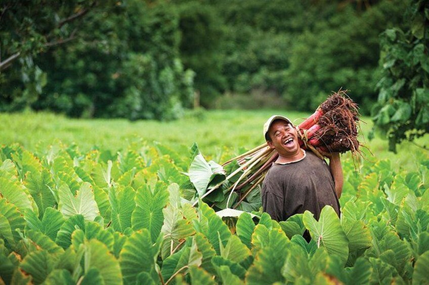 Our local farmers 2