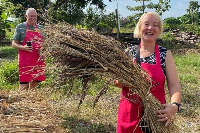 From our rice fields 4
