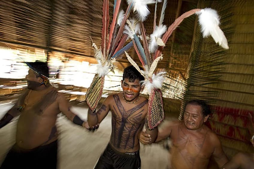 Tucandeira Ants Ritual In The Amazon