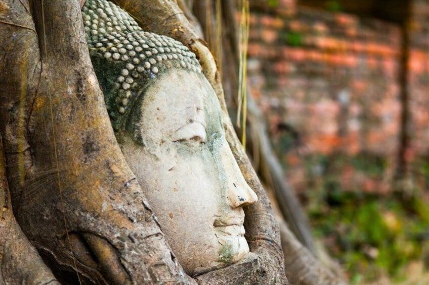 From Bangkok: Ayutthaya Temples Small Group Tour with Lunch 2