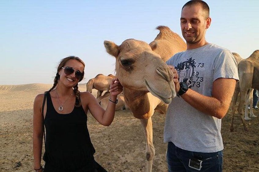 Camel Farm Visit 1