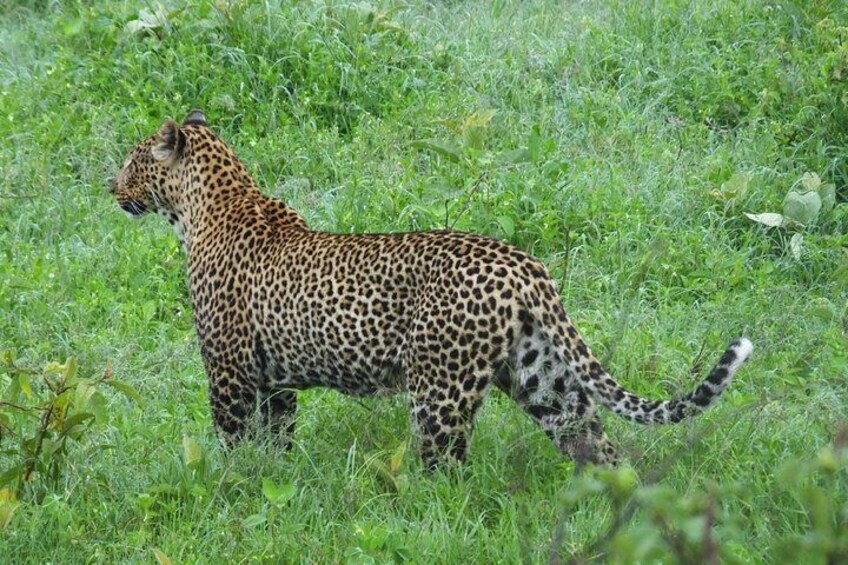 3 Days Samburu Safari 2