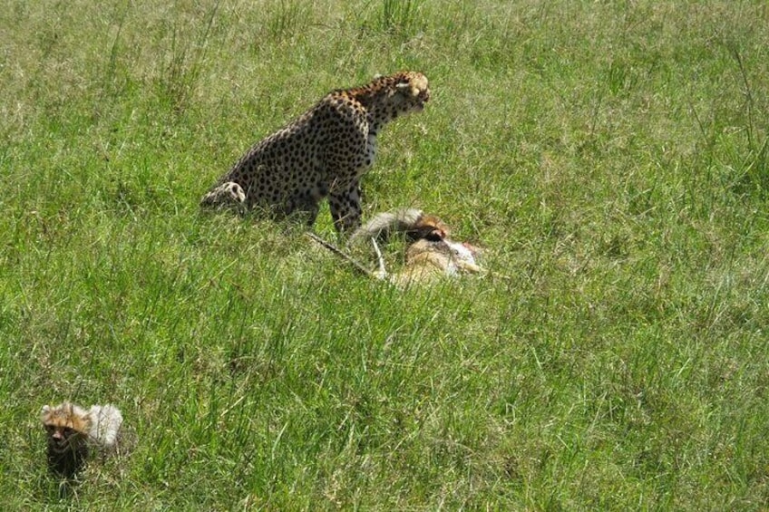 3 Days Samburu Safari 4