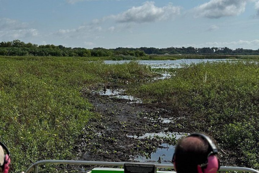 1 Hour Everglades Airboat Tour Orlando Florida 2