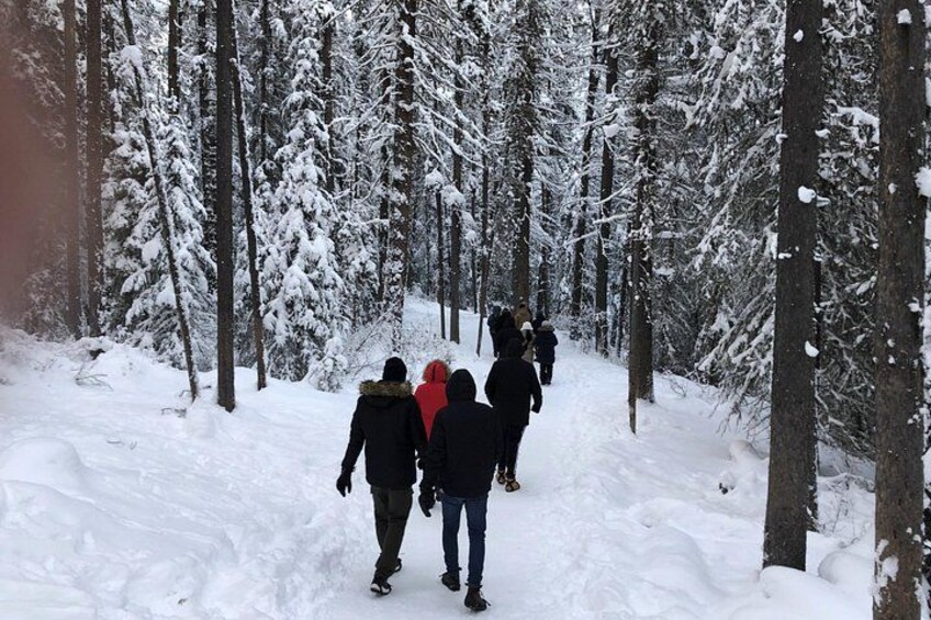 Vancouver to Banff 4 Days Rockies Lake Louise Snow adventure Tour Private 4