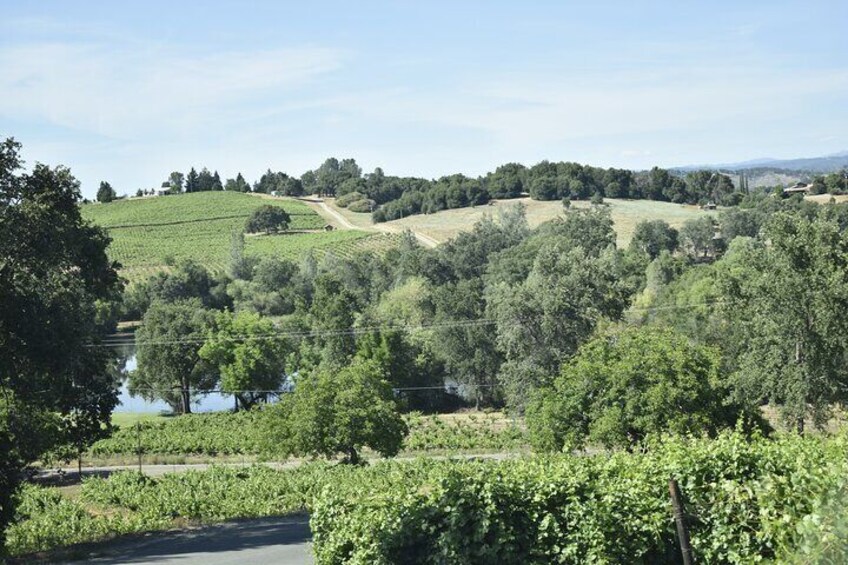  Napa & Sonoma Wine Tour Private Tours 4 to 10 Hours max 14 pax