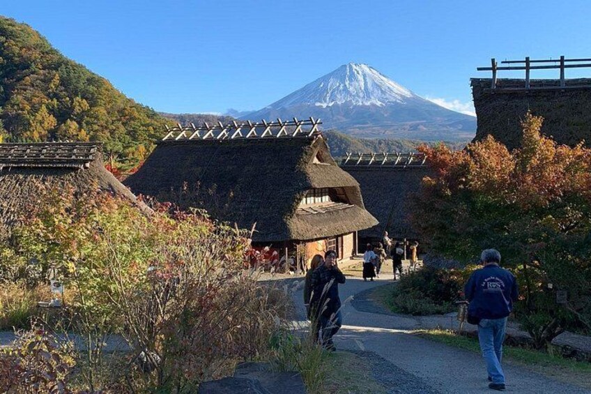 Private Tour to Mt. Fuji/or hakone (Fully Licensed Operator) 2
