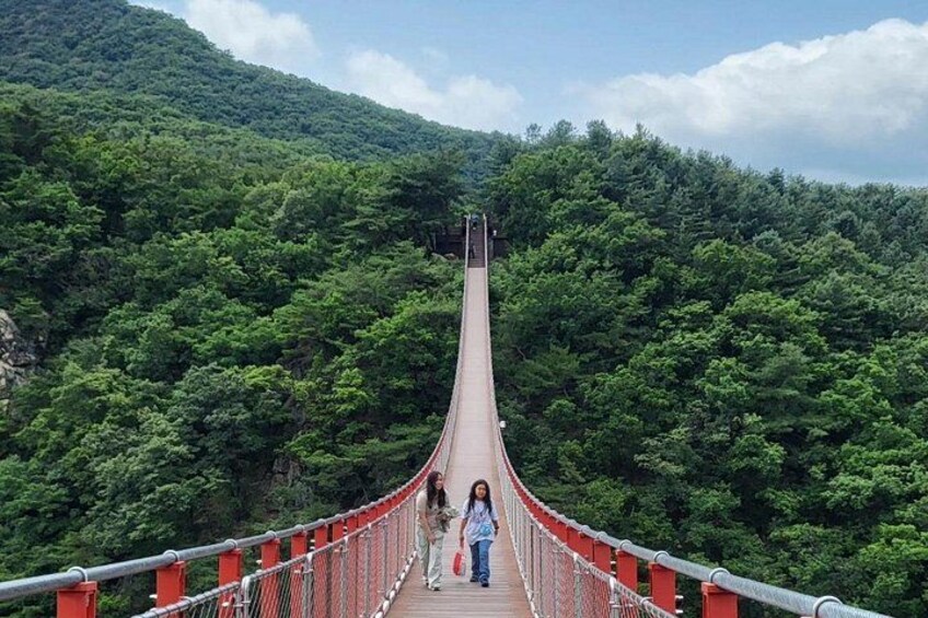 Full Day DMZ with Red Suspension Bridge Tour from Seoul 5
