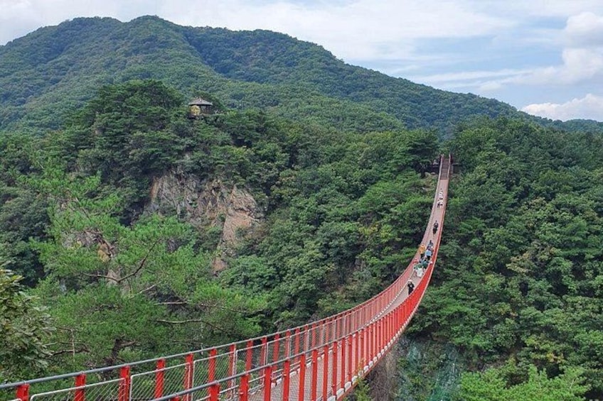 A red suspension bridge curving through a dense forest with a mountain in the background. 5