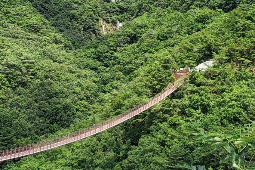 Full Day DMZ with Red Suspension Bridge Tour from Seoul 4