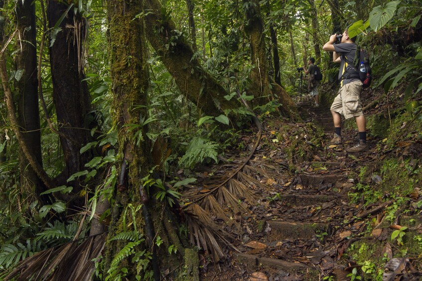 Children’s Eternal Rainforest Hike Tour