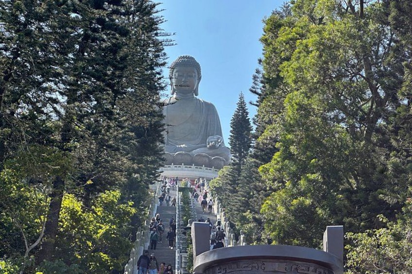 Private 5-Hour Driving Tour of Lantau from Hong Kong 1