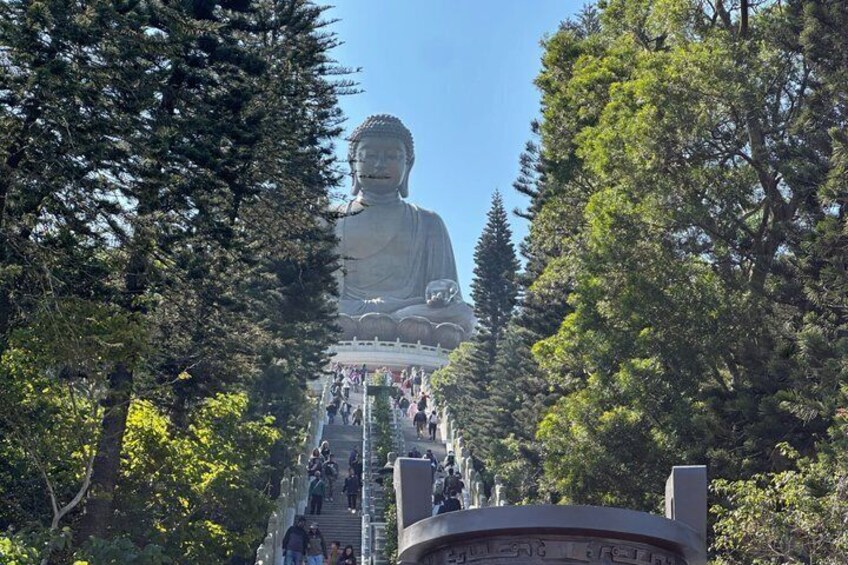 Private 5-Hour Driving Tour of Lantau from Hong Kong 2