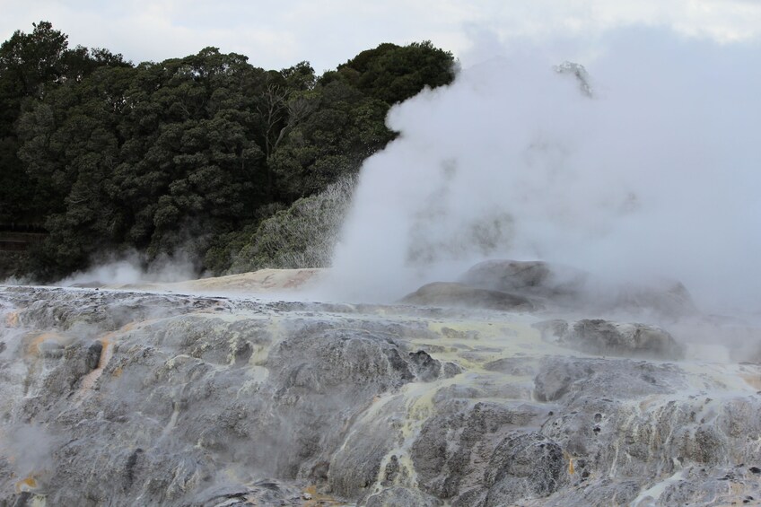 Hobbiton Rotorua and Waitomo Caves Overnight Tour 3