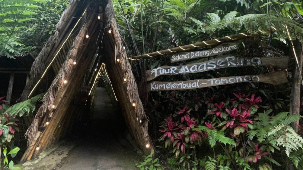 A wooden archway with lights, surrounded by lush greenery and ferns. 1
