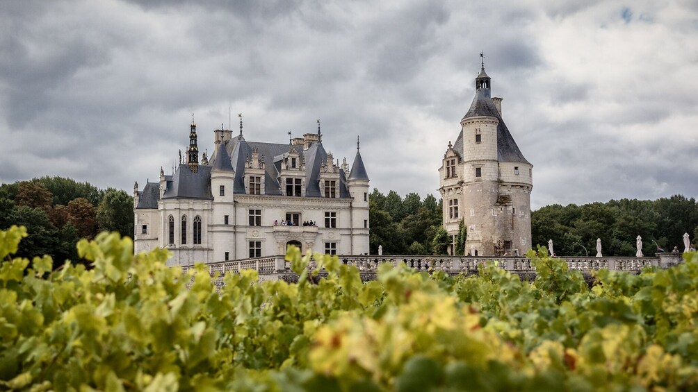 Château Chenonceau Photography Tour and Masterclass