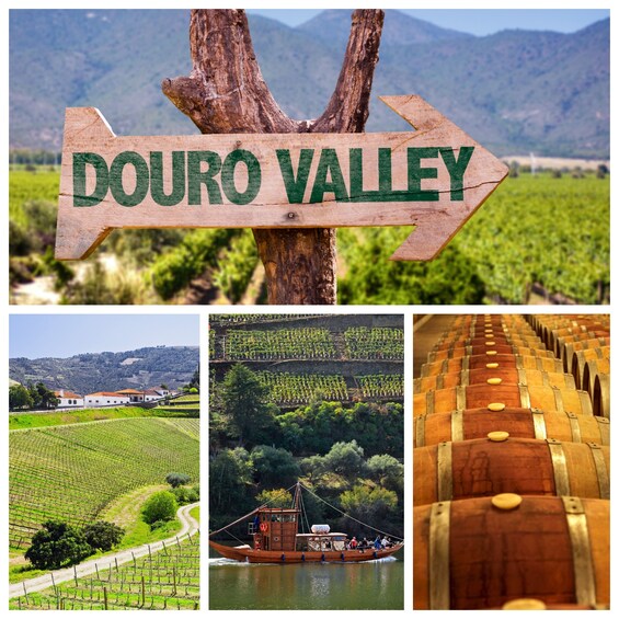 Douro Valley Tour: Wine Tasting, River Cruise and Lunch