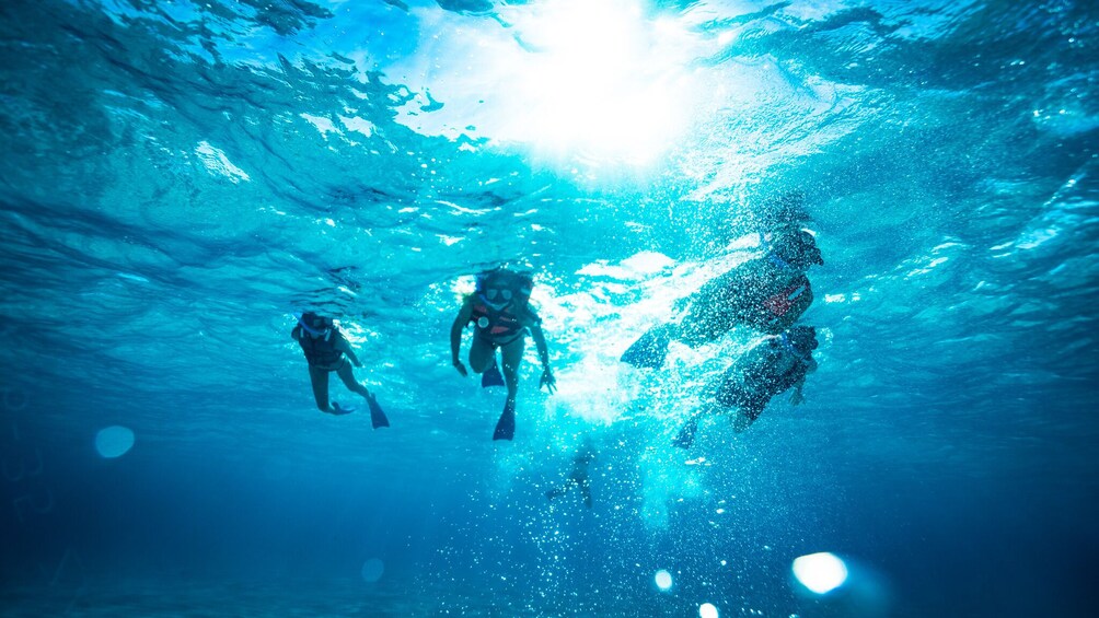 Isla Mujeres catamaran tour with open bar & optional buffet lunch